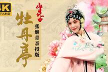 昆曲牡丹亭单雯4K高清修复版全集