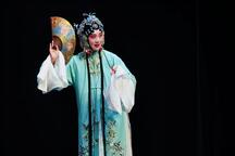 牡丹亭·寻梦 片段