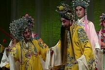 昆剧小生三代人（俞振飞 岳美缇 张军）下载