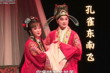 孔雀东南飞 第九届江苏省淮剧艺术展演月