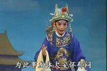 淮剧全本《狸猫换太子》陈明矿等主演下载