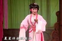 扬剧珊瑚情王学琴主演全场视频