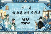 锡剧珍珠塔王彬彬经典唱腔选段