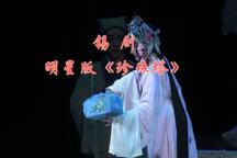 锡剧珍珠塔全剧明星版周东亮董云华