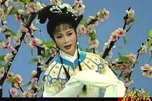 沈佩华 名家名段