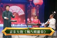 杨八姐游春 完整版