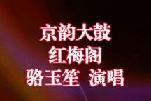 红梅阁 全场