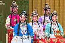 红鬃烈马·算军粮 像音像·折子戏