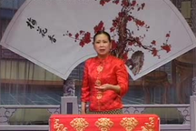 河南坠子马踏洛阳单官保投亲全集合辑