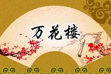 河南坠子狄青征西万花楼申利华全剧