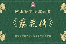 河南坠子葵花传全本 张仁义演唱