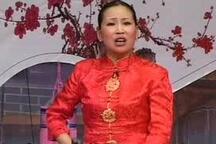 河南坠子马踏洛阳胡中花全集下载