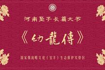 河南坠子幼龙传全本刘水经典唱段在线收听下载