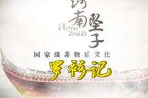 罗衫记河南坠子 王建国范翠霞演唱