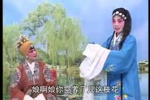 王宝钏 第七集