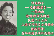 柳绿云 全场