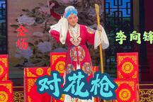 豫剧对花枪全场李向锋杜比视界高清