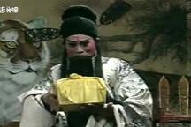 豫剧辕门斩子刘忠河经典唱段全集