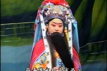 豫剧武家坡谢庆军崔凤荣全场