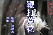鞭打芦花 全场