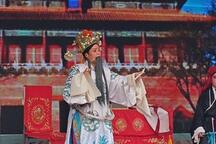 刘公案 左连成告状5下载