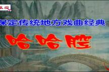 稀有剧种河北保定哈哈腔11部珍贵录像