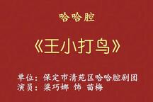 王小打鸟 全场