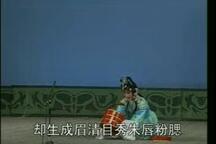 狸猫换太子 连台本戏 第一本