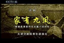 评剧家有九凤全剧经典唱段下载
