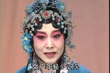 评剧穆桂英挂帅宫静2部全场下载