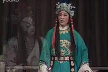 狸猫换太子 全剧下载