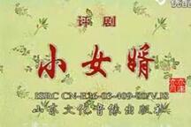 小女婿 全剧下载