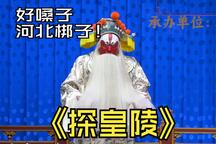 探皇陵 片段