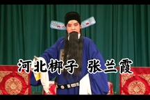 河北梆子赵派张兰霞经典唱段赏析