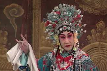 张惠云河北梆子名段专辑9部合集