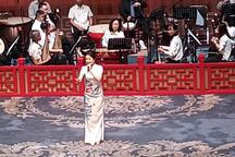 评梆戏曲名家演唱会河北梆子部分