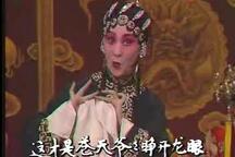 河北梆子大登殿金牌调来银牌宣九位名家合集