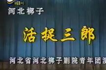活捉下载