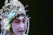陈三两 浓缩精华版