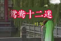 鸳鸯十二迷 自存