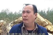 苦腊梅 第三集下载