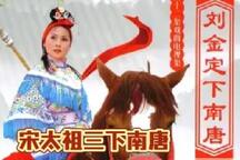琴书刘金定下南唐全32集高家将救驾