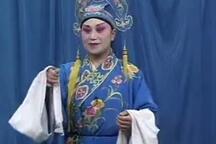 孙秀英琴书观花灯全6部经典唱段