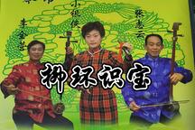 柳环识宝 第2集