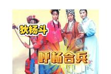 狄杨斗一呼杨合兵琴书全75集在线听