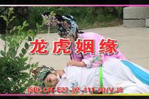 琴书《龙虎姻缘》 第10集-本部完