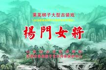 杨门女将 全场
