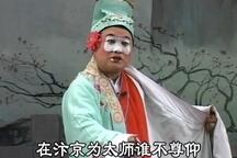 莱芜梆子马龙记全集下载