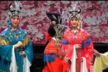 七仙女下载