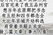 反徐州 片段